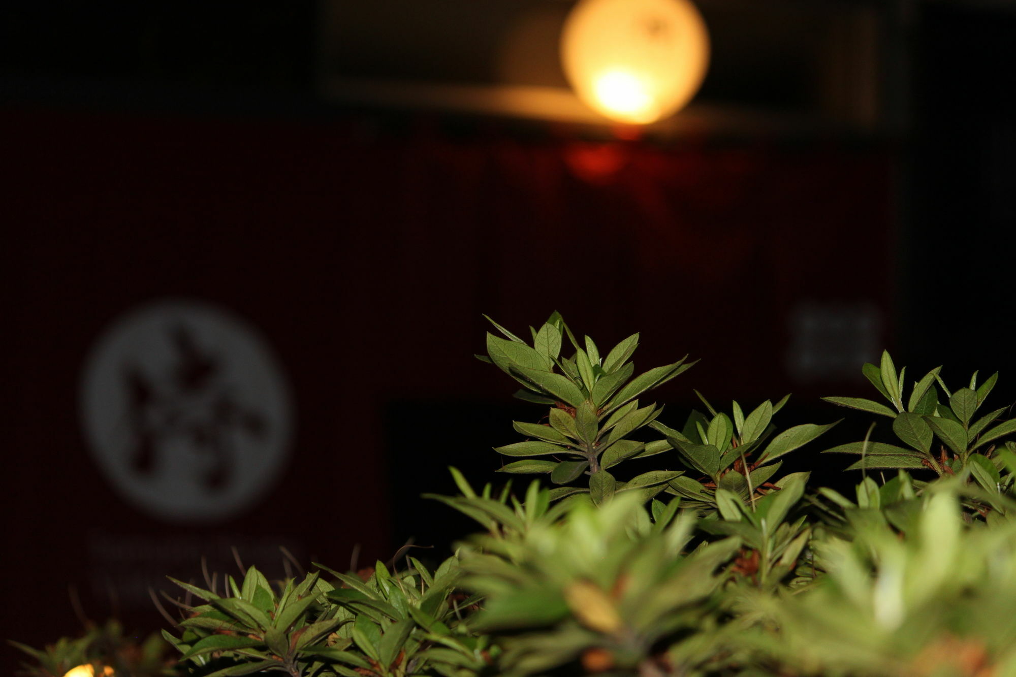Samurai House Yukimura Tokyo Exterior photo